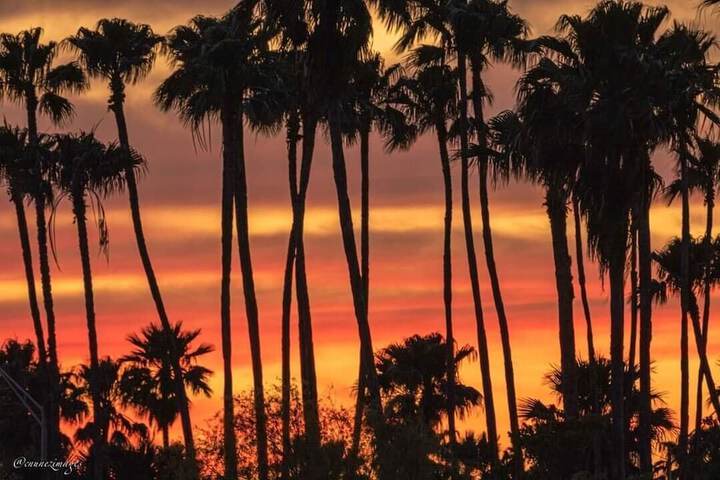 Holiday Inn Resort South Padre Island - Beach Front by IHG