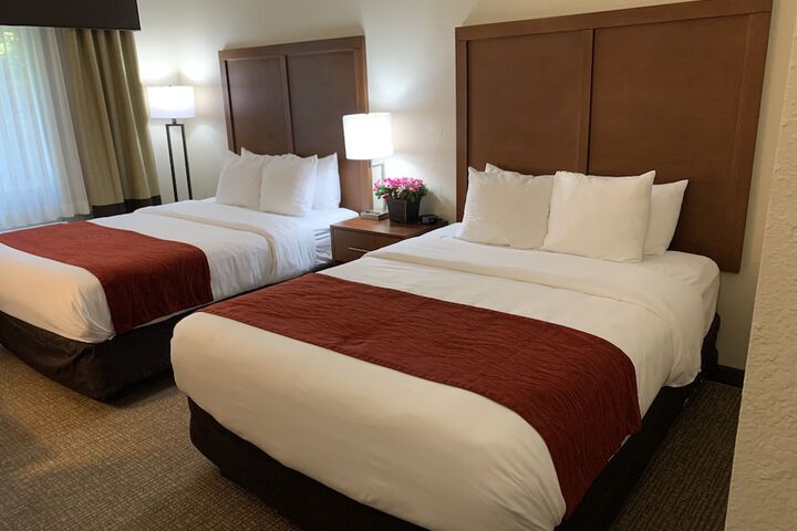 Room 41 of 51