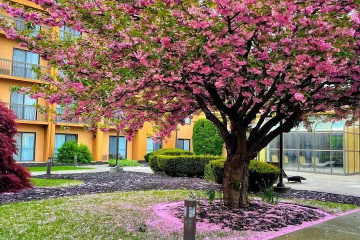 Courtyard by Marriott Fishkill