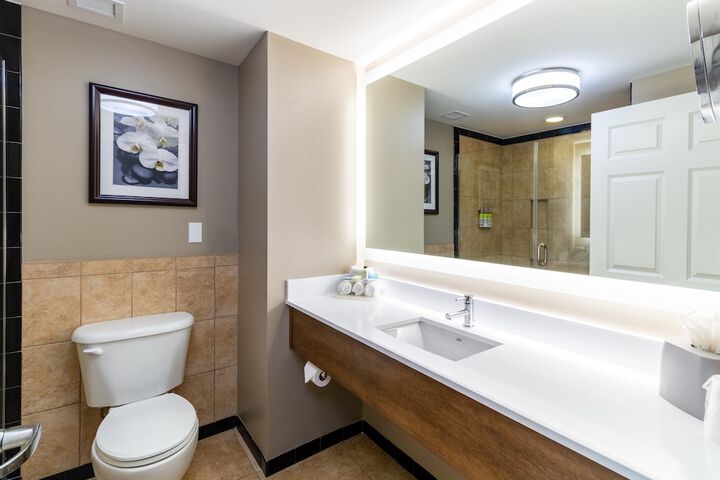 Holiday Inn Express Savannah - Historic District by IHG