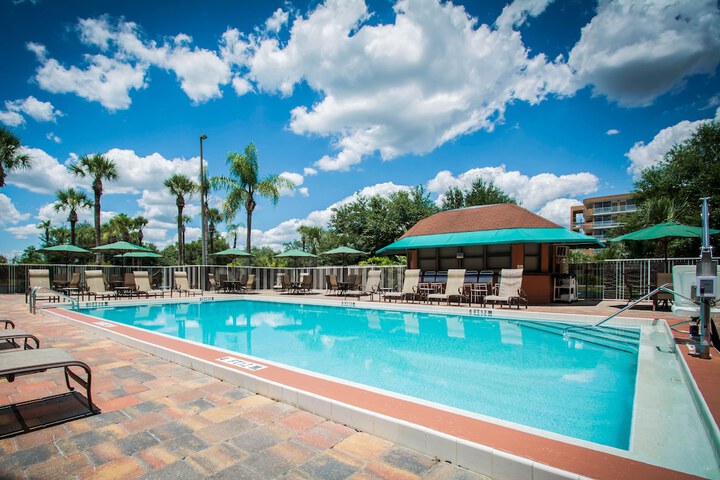 Pool 8 of 77