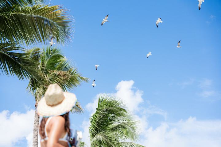Fisher Inn Resort & Marina
