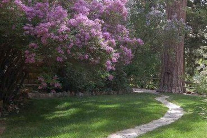 Property Grounds 63 of 68