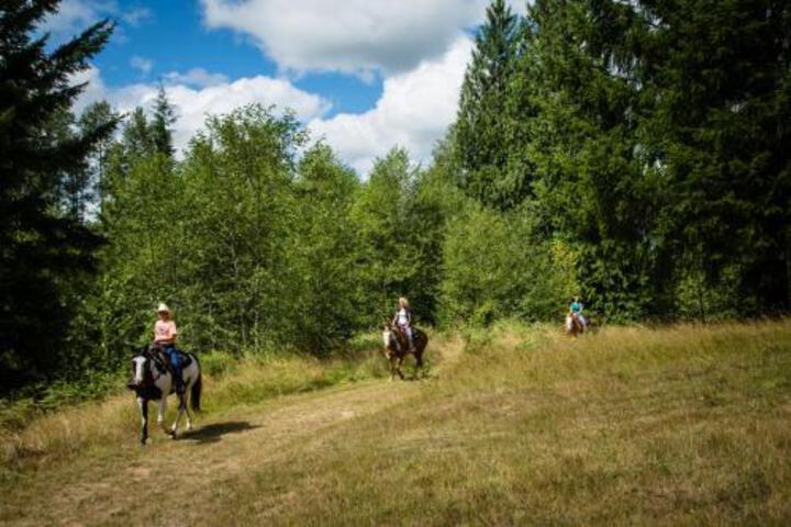 Chehalis Camping Resort Bunkhouse Cabin 6