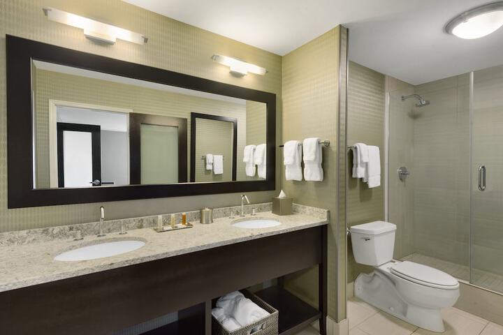 Holiday Inn & Suites Duluth Downtown by IHG