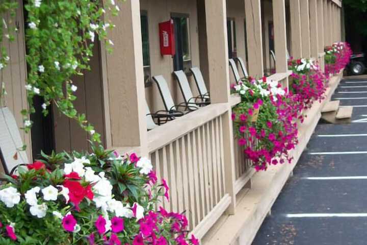 Hotel 9 of 65