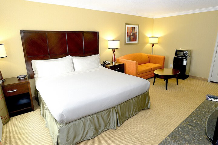 Holiday Inn Hotel & Suites San Mateo-San Francisco SFO by IHG