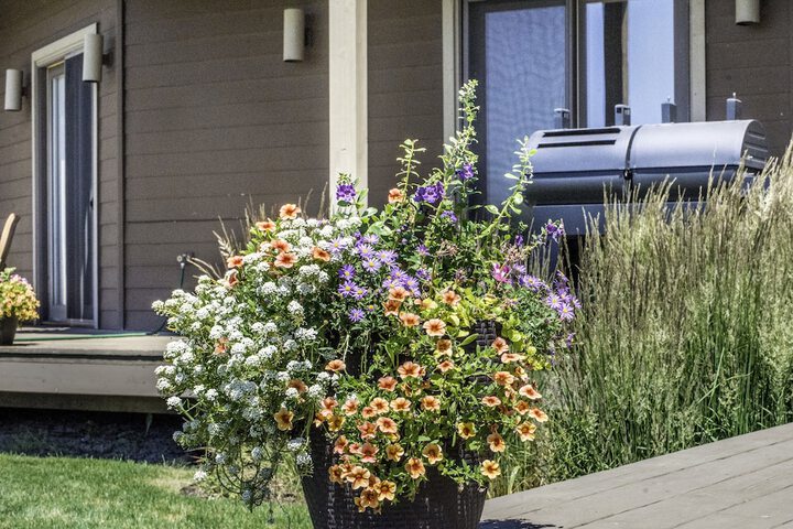Terrace/Patio 78 of 87