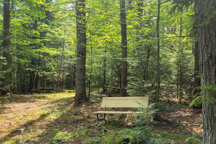 Cozy Elizabethtown Cabin w / Fire Pit!