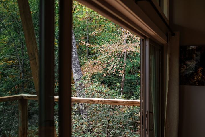 Pilot Cove Forest Lodging