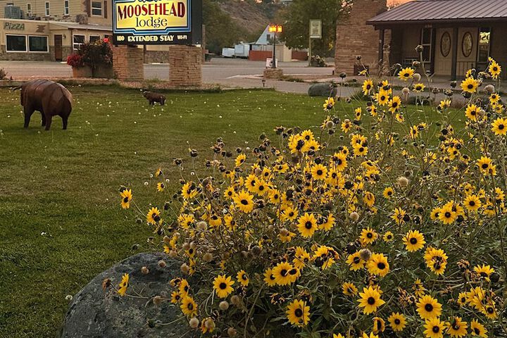 Moosehead Lodge & Cabins