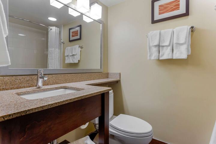 Comfort Inn Hammond I-94