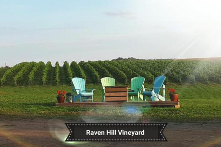 Raven Hill Vineyard
