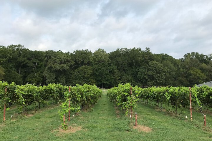 High Hill Farm