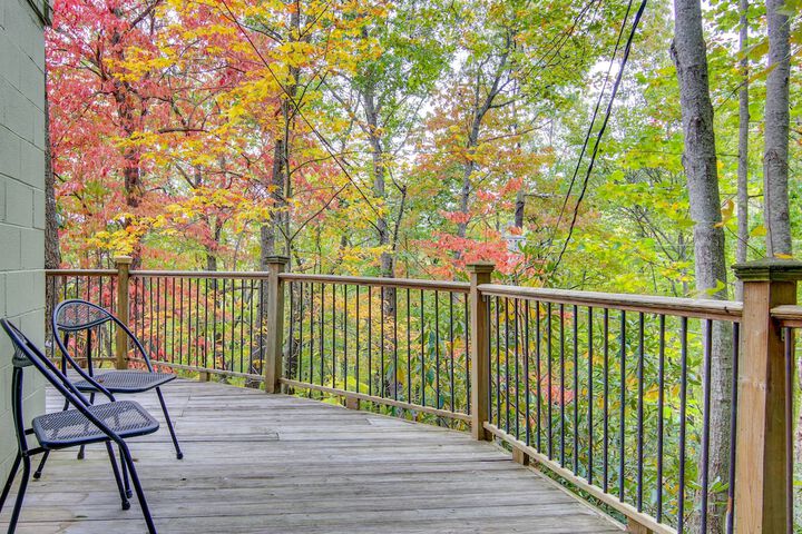 Black Mountain Cabin Apartment 2 Mi to Downtown!