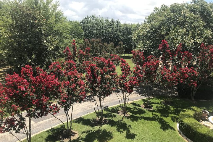 The Plantation House Boutique Inn