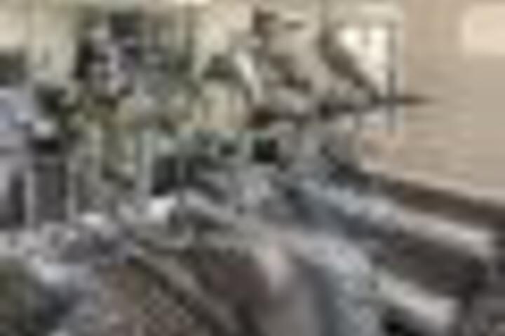 General 4 of 6