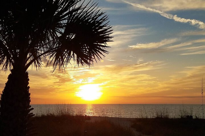 Escape Coastal Resort on Casey Key