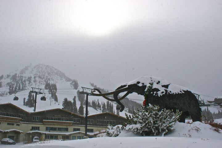 Alpenhof Lodge