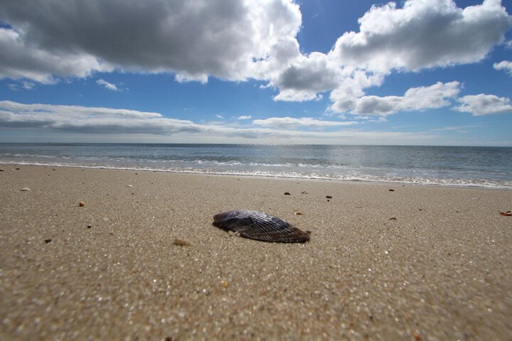 Beach 34 of 49