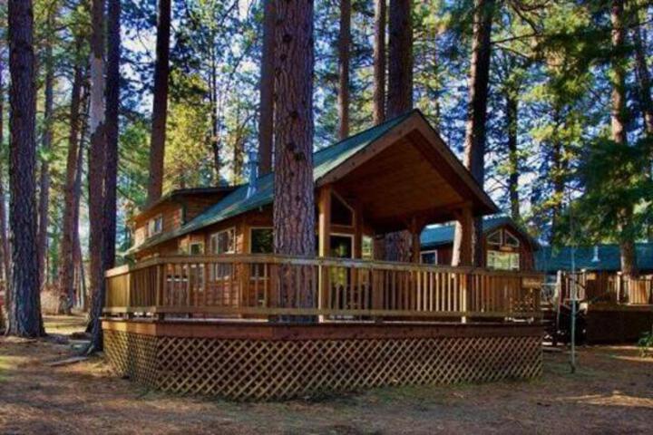 Cold Springs Resort