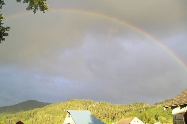 Miller Tree Inn