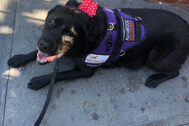 Pet Friendly 48 of 54