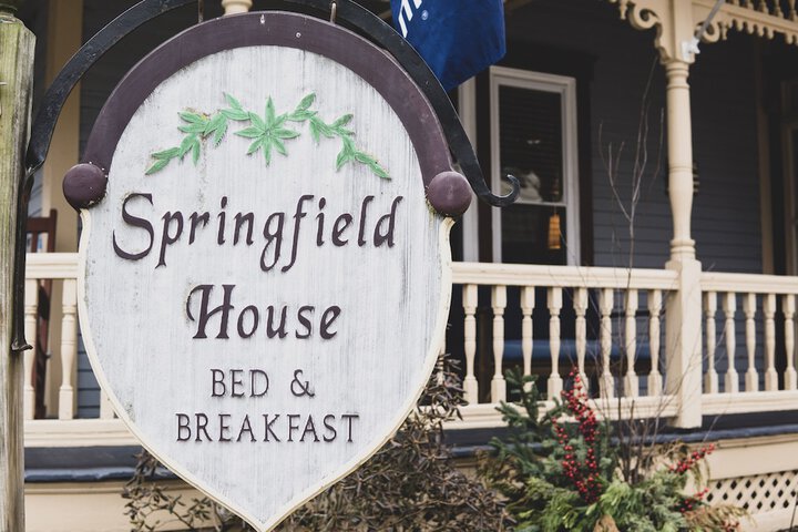 Springfield House B & B