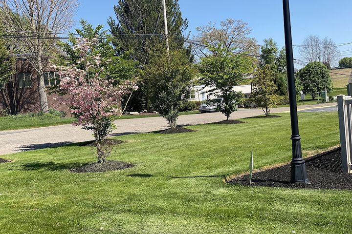 Property Grounds 25 of 27