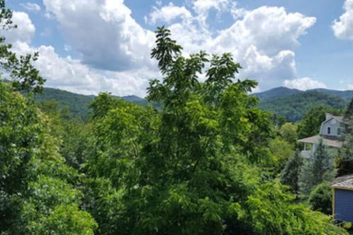 Hotel View 103 of 107