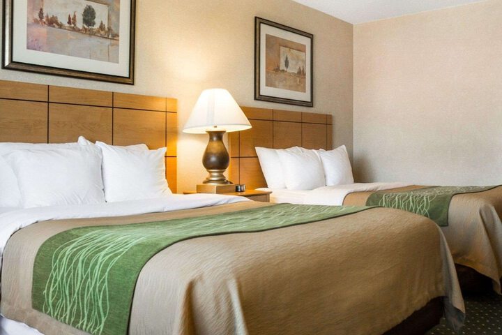 Comfort Inn Jamestown South