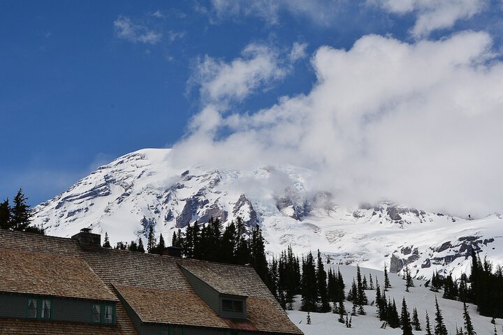Paradise Inn