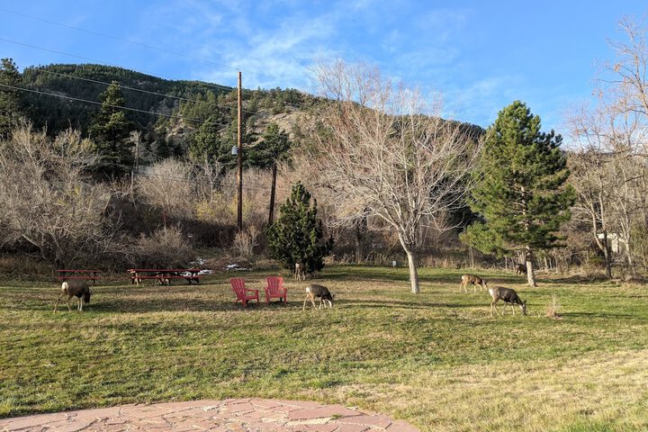 Property Grounds 51 of 56