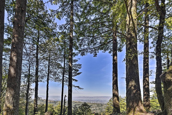 Mountain Homestead: Swim Hike, & Camp On-site!
