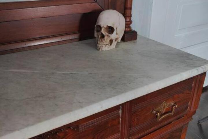 The vampires den downtown big house, pets ok