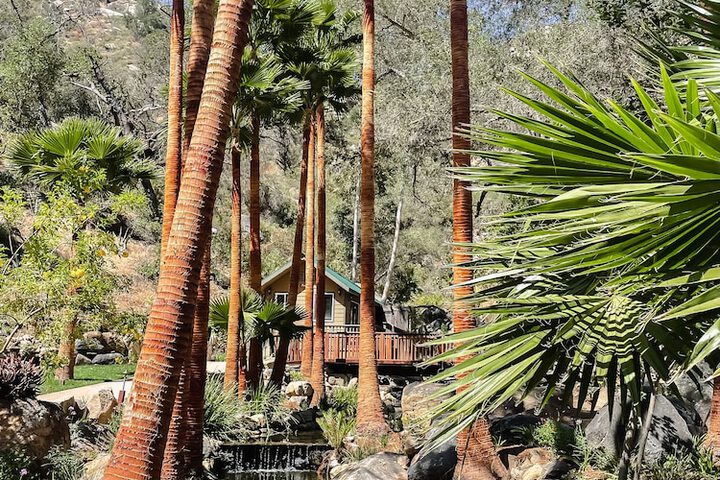 Bandy Canyon Ranch