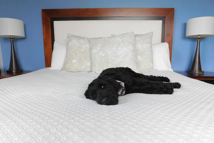 Hotel Indigo Asheville Downtown by IHG