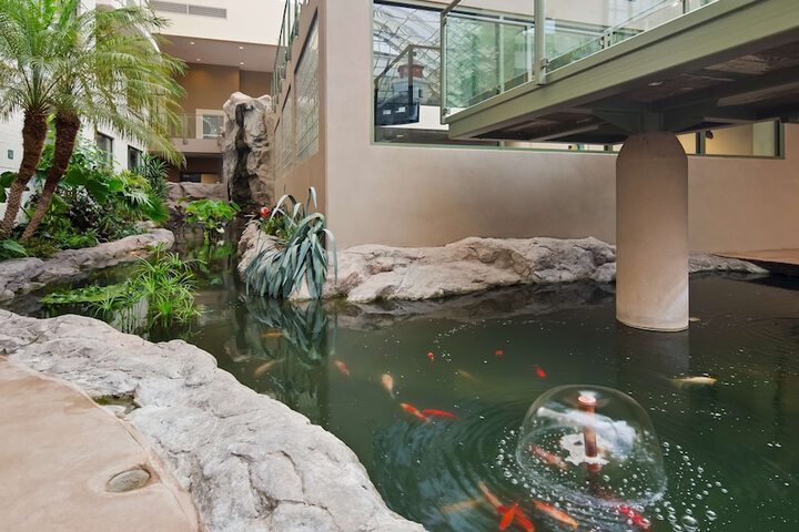 Best Western Plus Lamplighter Inn & Conference Centre