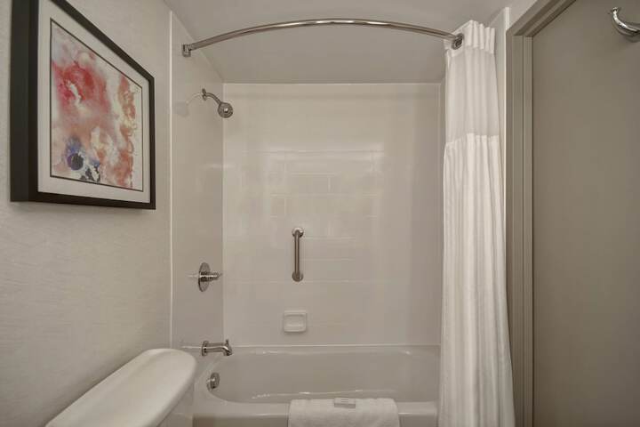 Hilton Garden Inn Detroit Metro Airport