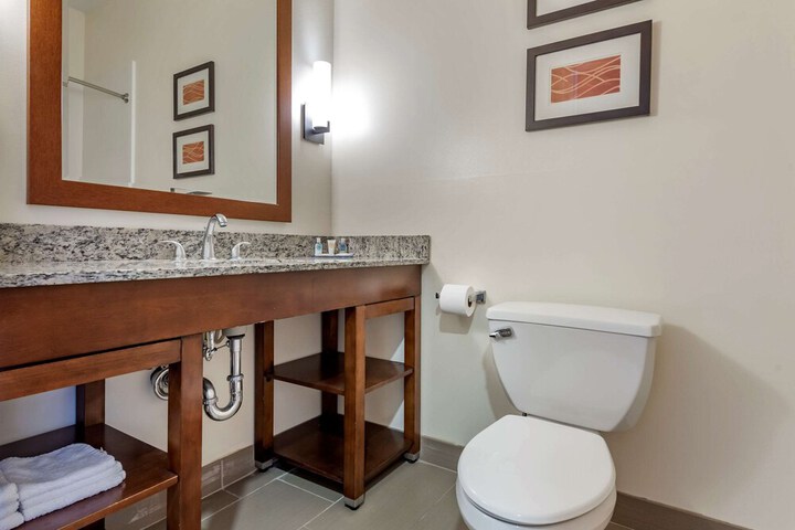 Comfort Inn Apalachin / Binghamton W Route 17