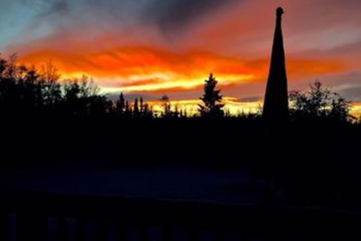 Fairbanks Moose Manor B & B