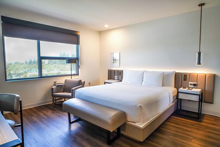 Shashi Hotel Mountain View Palo Alto