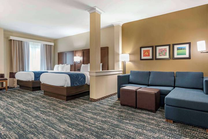 Comfort Inn & Suites Downtown near University