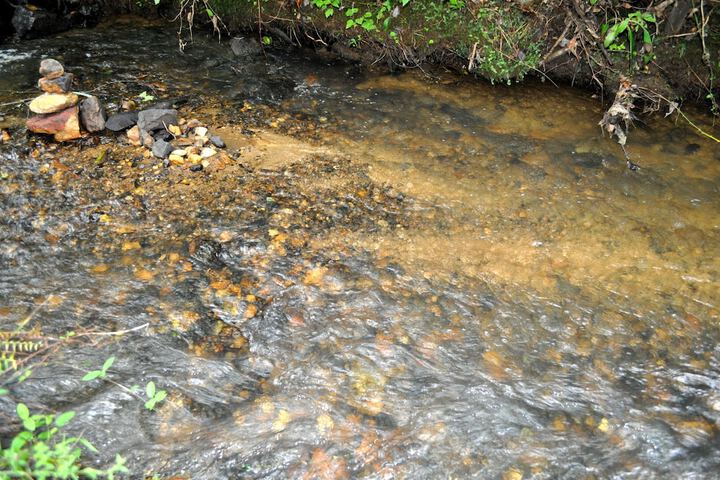 Twin Creeks