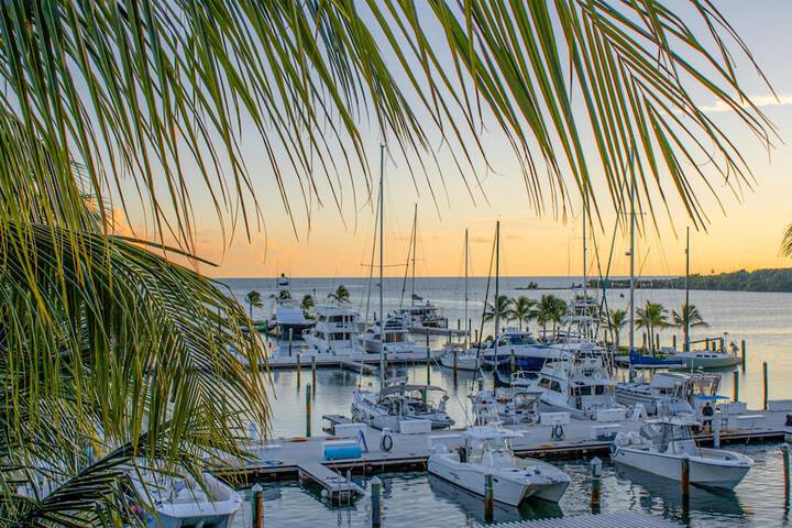 Hilton Key West Resort & Marina
