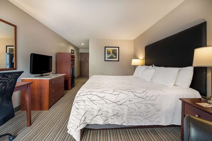 Room 38 of 40