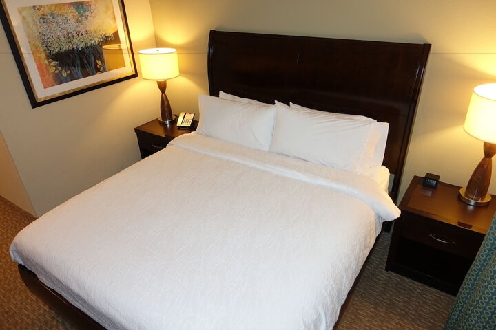 Hilton Garden Inn Houston-Pearland