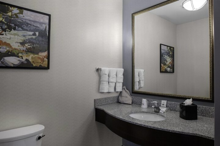 Hilton Garden Inn Denison / Sherman/At Texoma Event Center