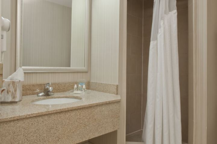 Wyndham Flint MI / Grand Blanc/Bishop Airport/Conference Ct