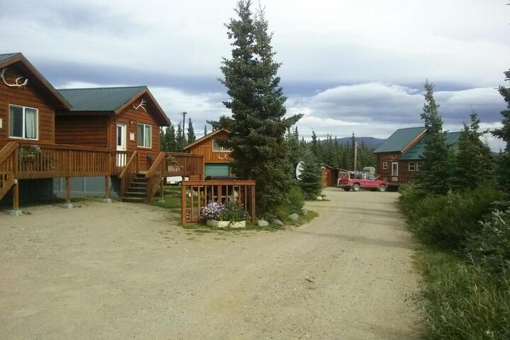Denalis Alaskan Spruce Cabins
